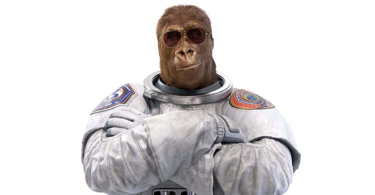Das ungewöhnlichste, stärkste und haarigste Teammitglied. <br>Unser Cosmo Ape.